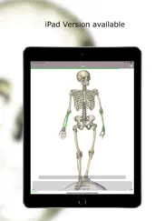 anatomie quiz lite ipad bildschirmfoto 1