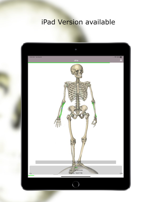 Screenshot #4 pour Anatomy Quiz lite