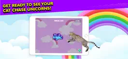 Game screenshot Ninja Cat: Game for Cats hack