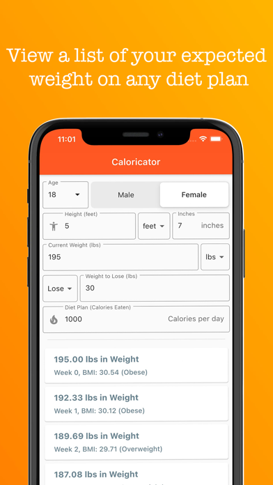 Caloricator Screenshot