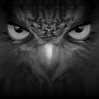 EagleEyes-lite на пк