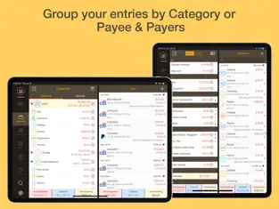 Imatge 4 Money Monitor: Expense Tracker iphone