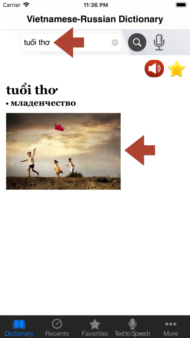 Vietnamese-Russian Dictionary Screenshot