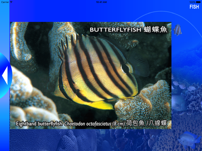 Reef Check Hong Kong