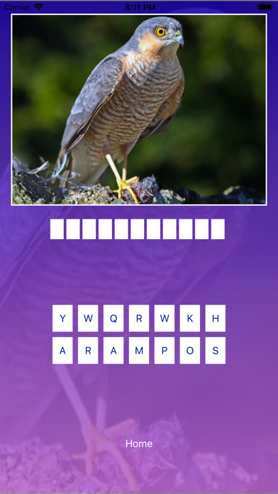 Bird Quiz - Name the Bird! Screenshot