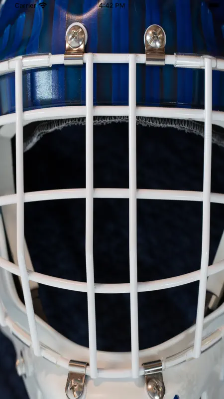 Goalie Mom screenshot 1 of 5