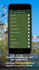 All Birds PR -> Antigua screenshot