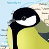 Birds of the Netherlands App Feedback