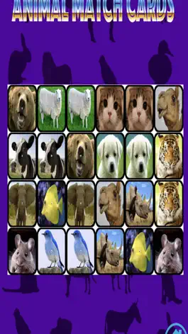 Game screenshot Ninu's Animal Match Card Game apk