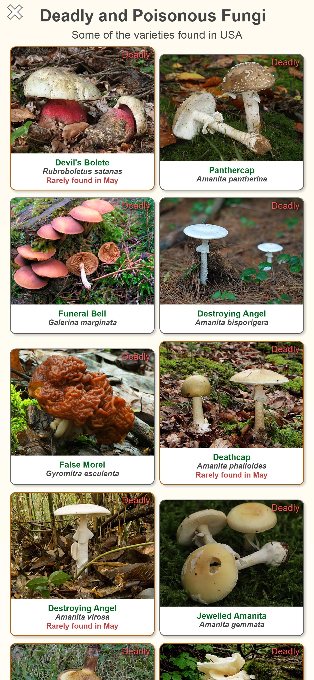 Shroomify - Mushroom ID USA