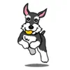 Miniature Schnauzer Dog Icon App Delete