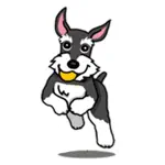 Miniature Schnauzer Dog Icon App Cancel