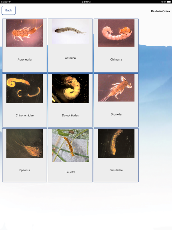 Screenshot #4 pour MacroInvertebrates