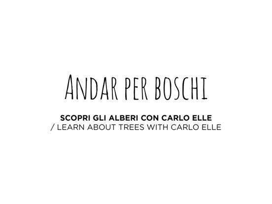 Andar Per Boschi