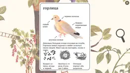 Энциклопедия Мышки айфон картинки 4