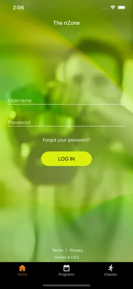 Game screenshot The nZone hack