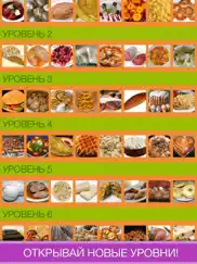Кулинарная викторина. Еда мира айпад изображения 2