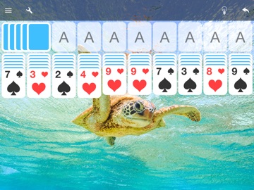 Spider Solitaire Card Game iPad screenshot