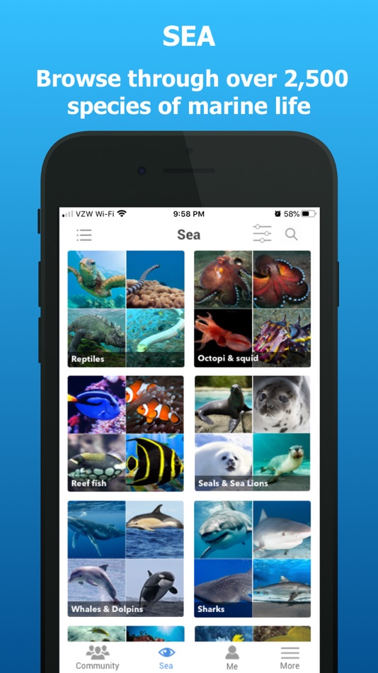 #1. iSea Marine ID (iOS) 由: john mackey