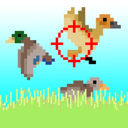 Flying Duck Arcade iOS App