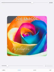 music player hd ipad resimleri 2