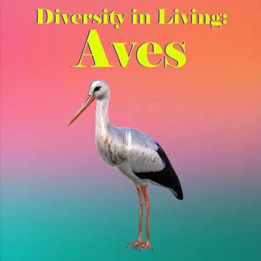 Diversity in Living: Aves icon