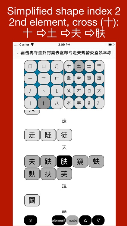 Chinsym lookup system screenshot-8
