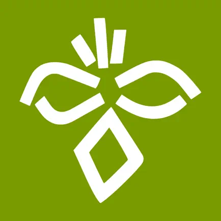 Donosti App Читы