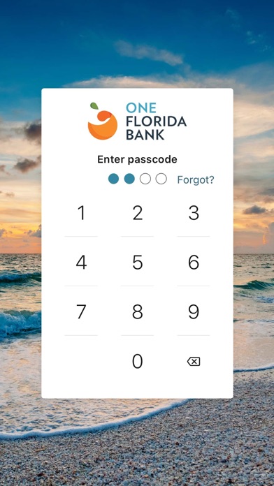 One Florida Mobile Banking Screenshot