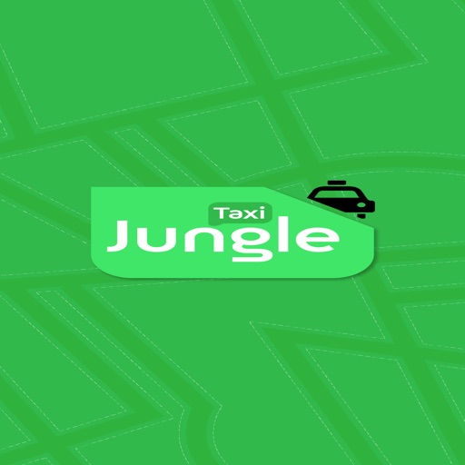 Jungle Taxi Provider