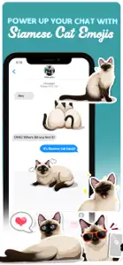 Siamese Cats Emoji Sticker screenshot #4 for iPhone