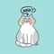 Cat Story Stickers