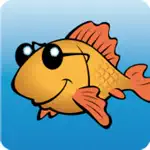 Funny Aquarium App Support