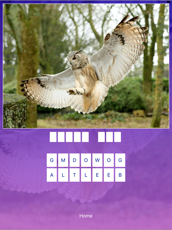 Screenshot #6 pour Bird Quiz - Name the Bird!