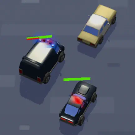Cops Chase Cheats