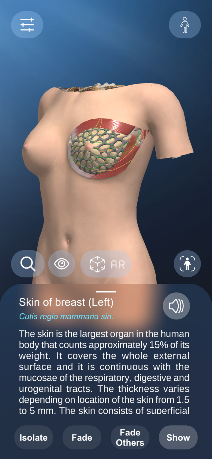 AR Anatomy