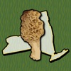 New York Mushroom Forager Map! icon