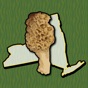 New York Mushroom Forager Map! app download