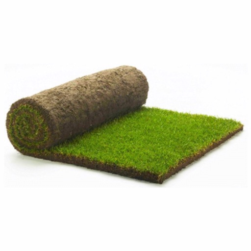 Turf Roll Icon