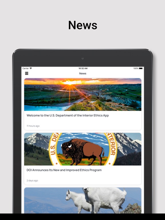 DOI Ethics iPad screenshot 1 - Reference app
