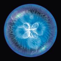 Osmos for iPad на пк
