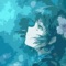 * High quality HD wallpapers for people who love japan anime and comics