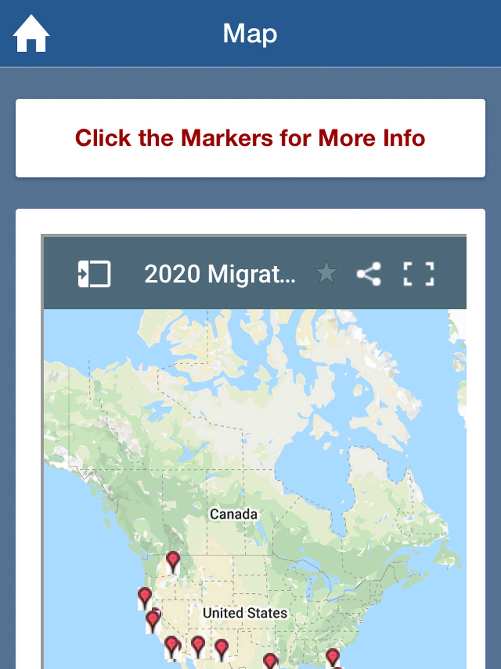 Hummingbird Tracker
