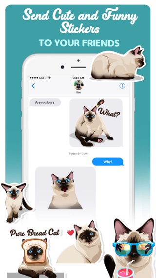 Siamese Cats Emoji Stickerのおすすめ画像4