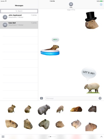 Capybara Stickers for Messagesのおすすめ画像2