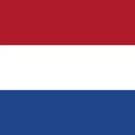 Dutch Werkwoorden Cheats