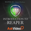 Introduction Guide for Reaper