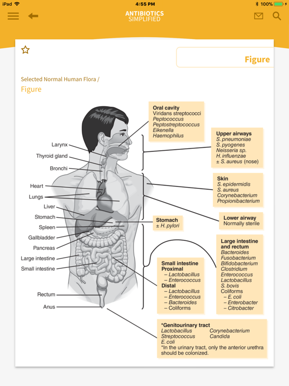 Antibiotics Simplified iPad screenshot 4 - Medical app