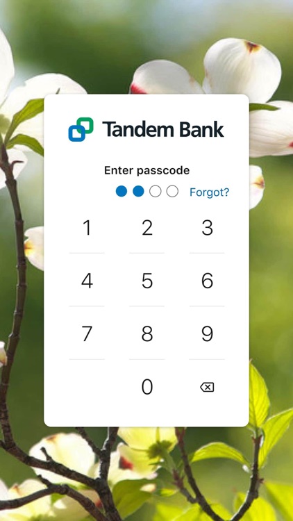 Tandem Bank