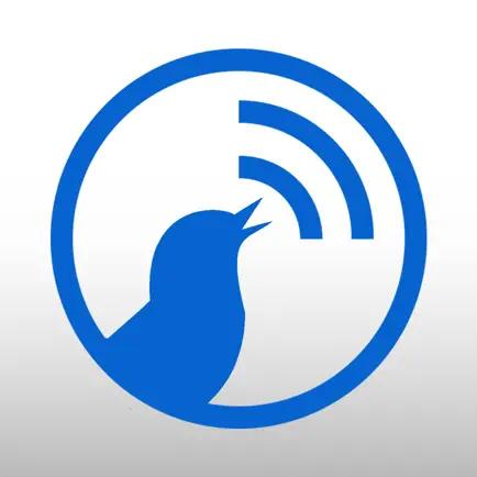 Wrenly Читы